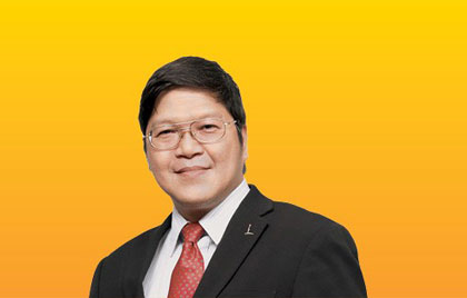 Professor Tan Kong Yam