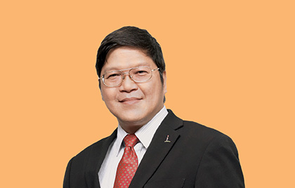 Professor Tan Kong Yam